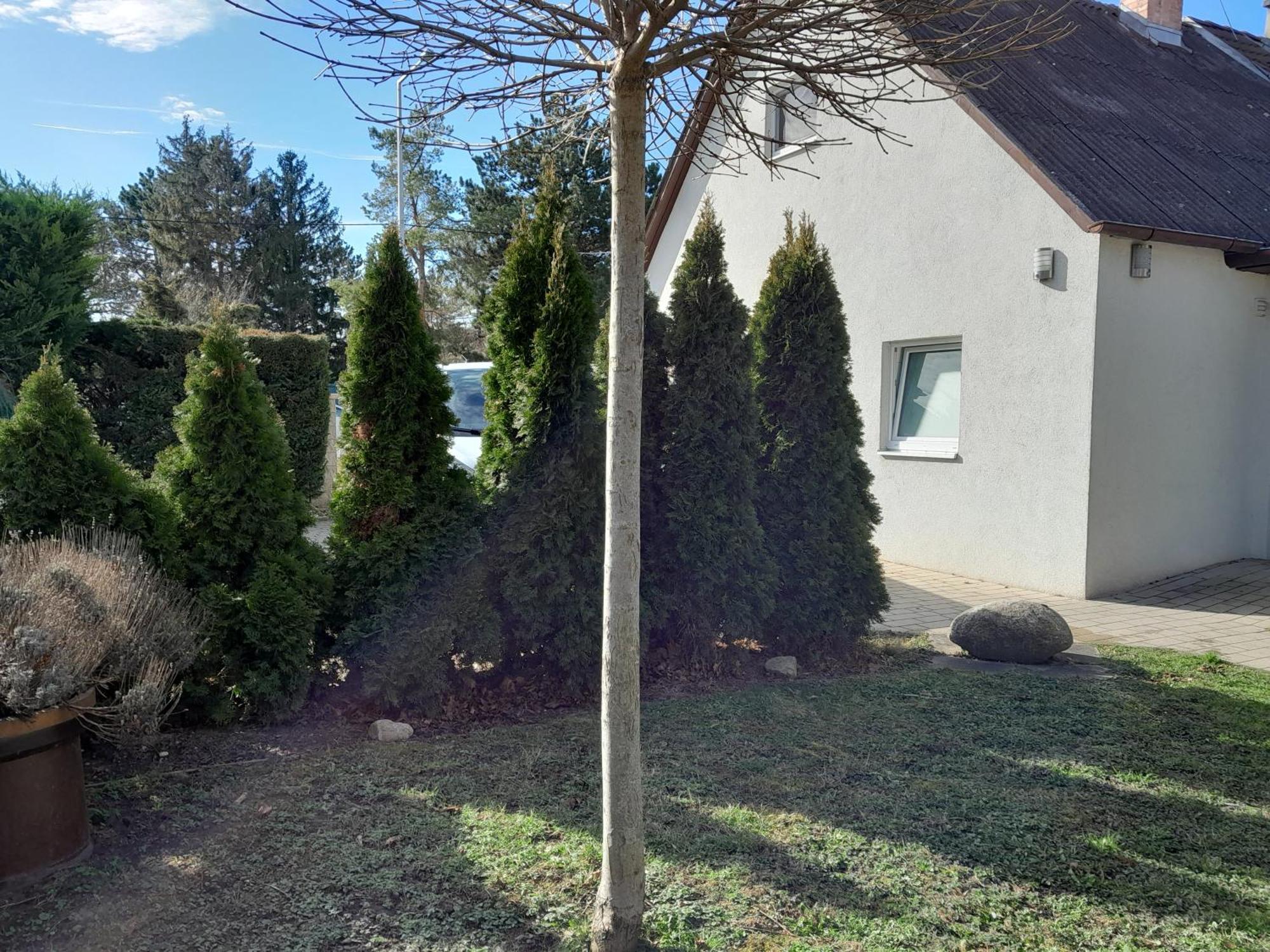 Haus Weissbacher Holiday home *